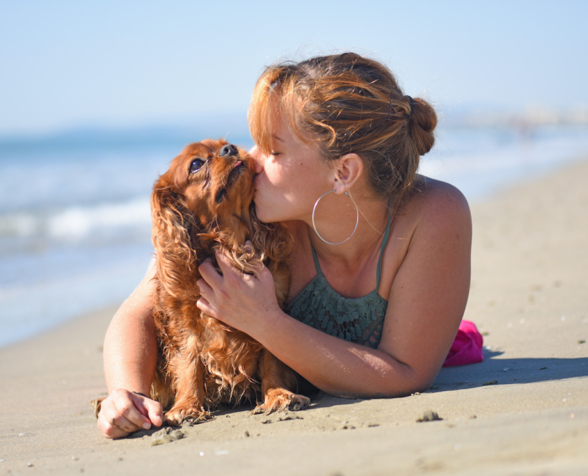 cani in spiaggia, comportamento da tenere